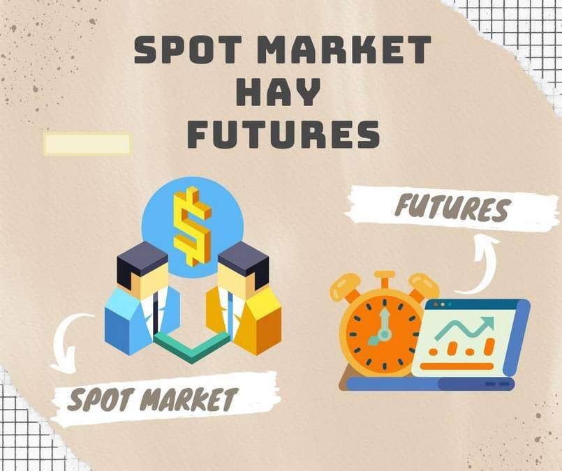 So sánh giữa Spot Market và Spot Futures
