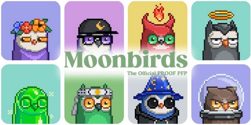 Khái niệm Moonbirds là gì?
